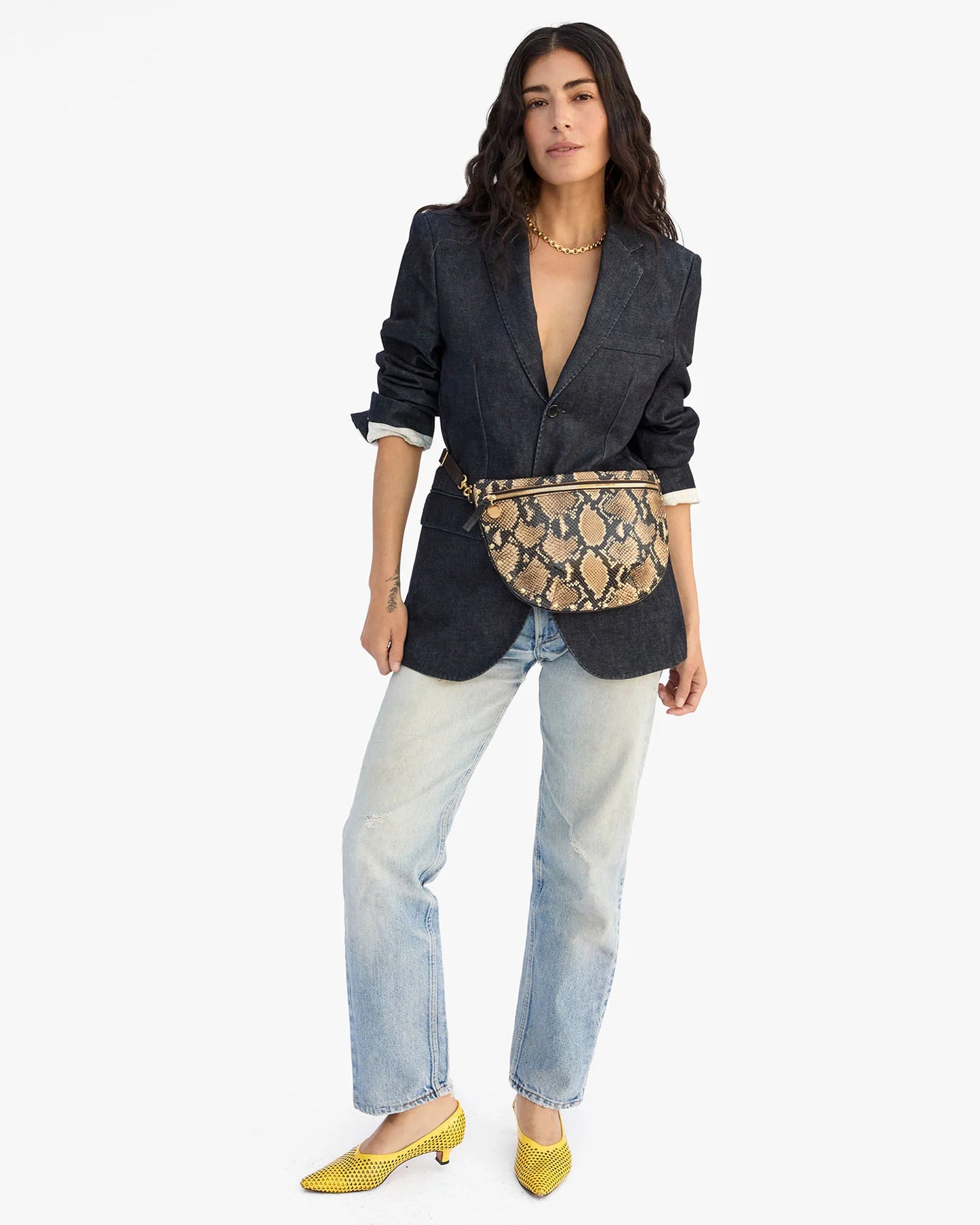 Grande Fanny - Desert Snake