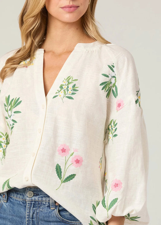 The Fred Top