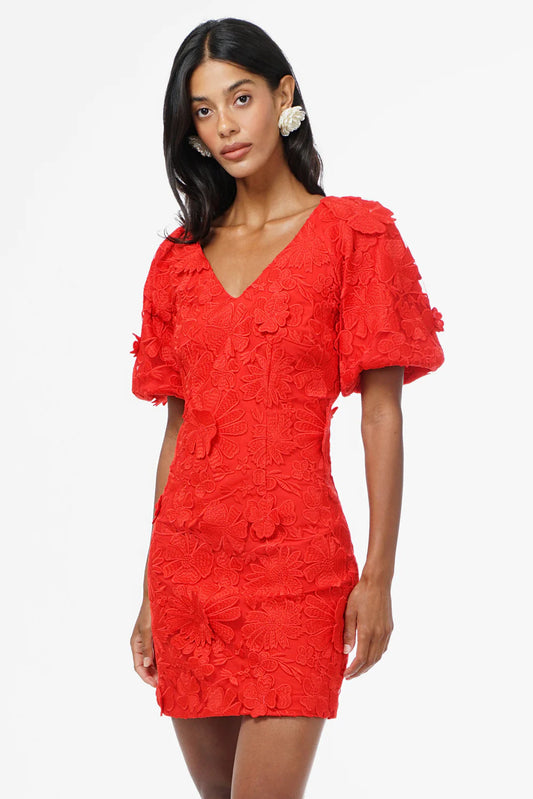 Hustina Lace Mini