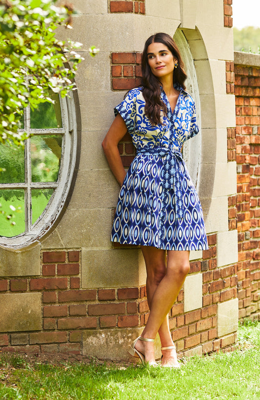 Hailey Graphic Folly Dress