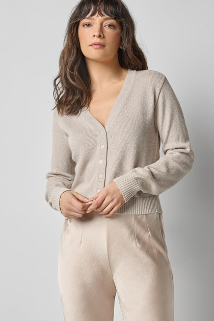 V-Neck Sparkle Cardigan in Mist Sparkle